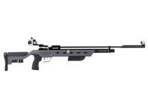 Crosman Challenger PCP, Open Sights