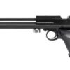 Crosman 1701P Silhouette Pellet Pistol