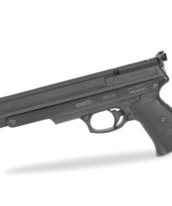 Gamo PR-45 Review: Power, Problems & vs. Compact / P17